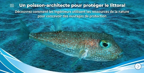 Poisson-architecte > La Fondation Dassault Systèmes