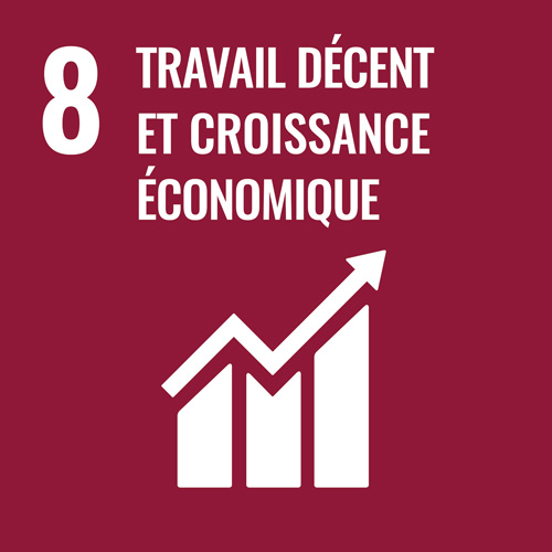 NU Objectifs Développement Durable | 08 - Travail décent et croissance économique > La Fondation Dassault Systèmes