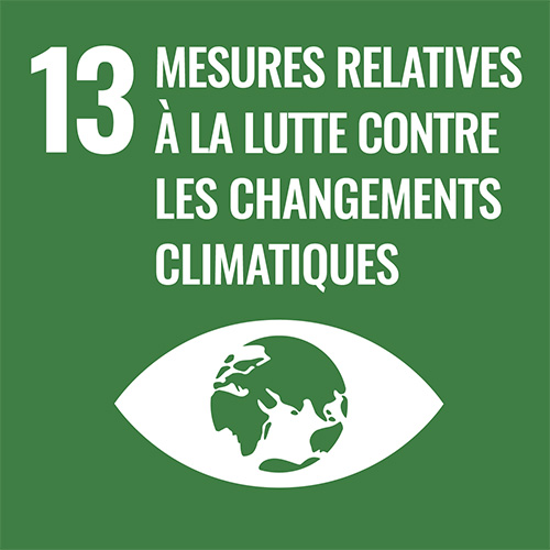 NU Objectifs Développement Durable | 13 - Mesures relatives à la lutte contre les changements climatiques > La Fondation Dassault Systèmes