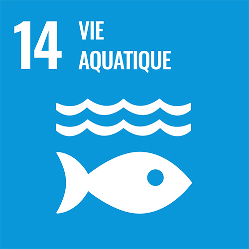 NU Objectifs Développement Durable | 14 - Vie aquatique > La Fondation Dassault Systèmes