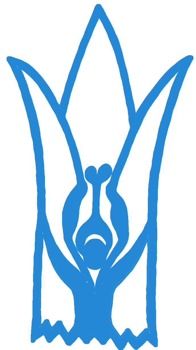 InnoTech Lab – StudentVigyan Ashram logo > La Fondation Dassault Systèmes